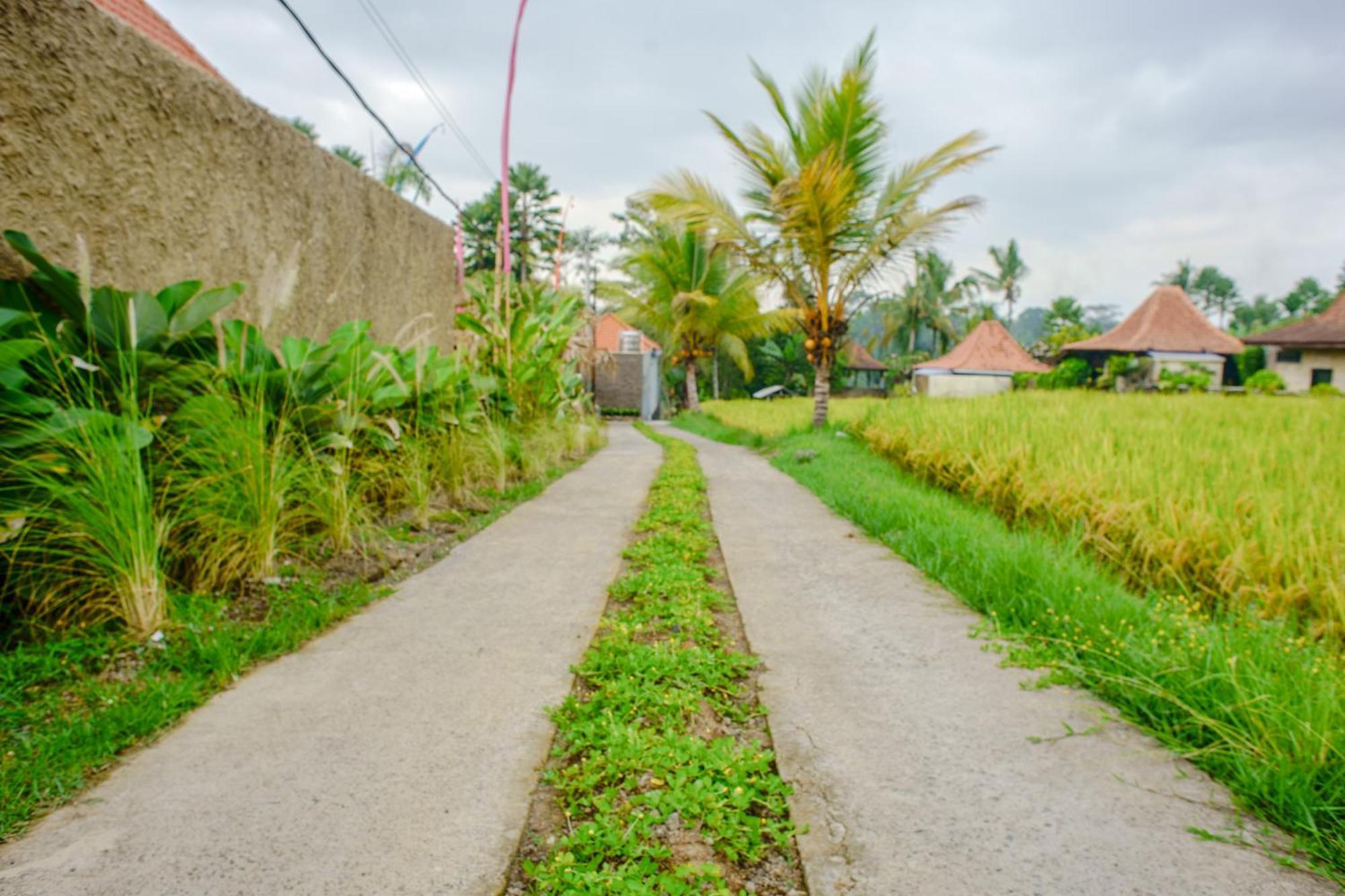 Umakelod Sebatu Villas Ubud Exterior foto