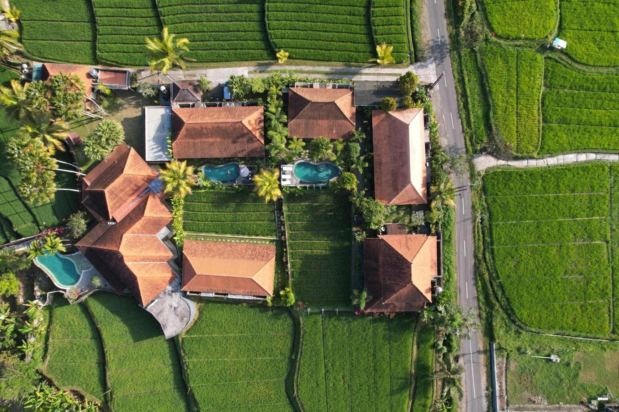 Umakelod Sebatu Villas Ubud Exterior foto